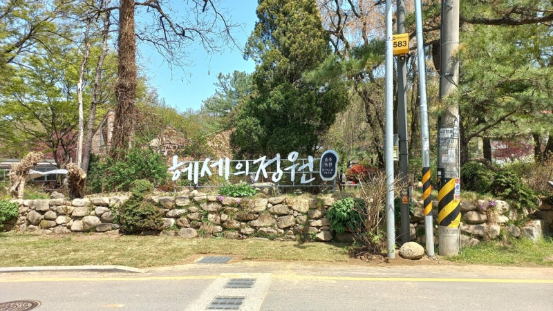 사진 2