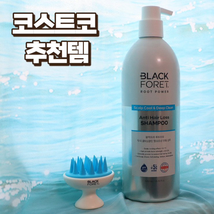  블랙포레 루트파워 쿨앤딥클린 대다모 1등 샴푸 코스트코추천템