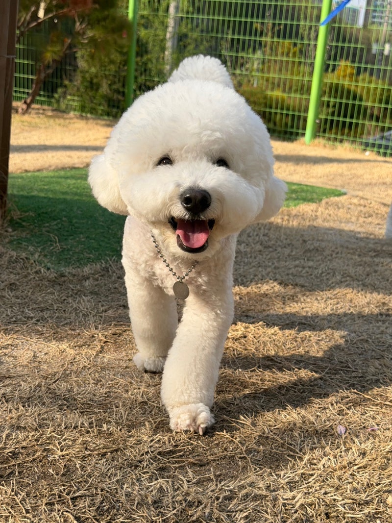사진 7