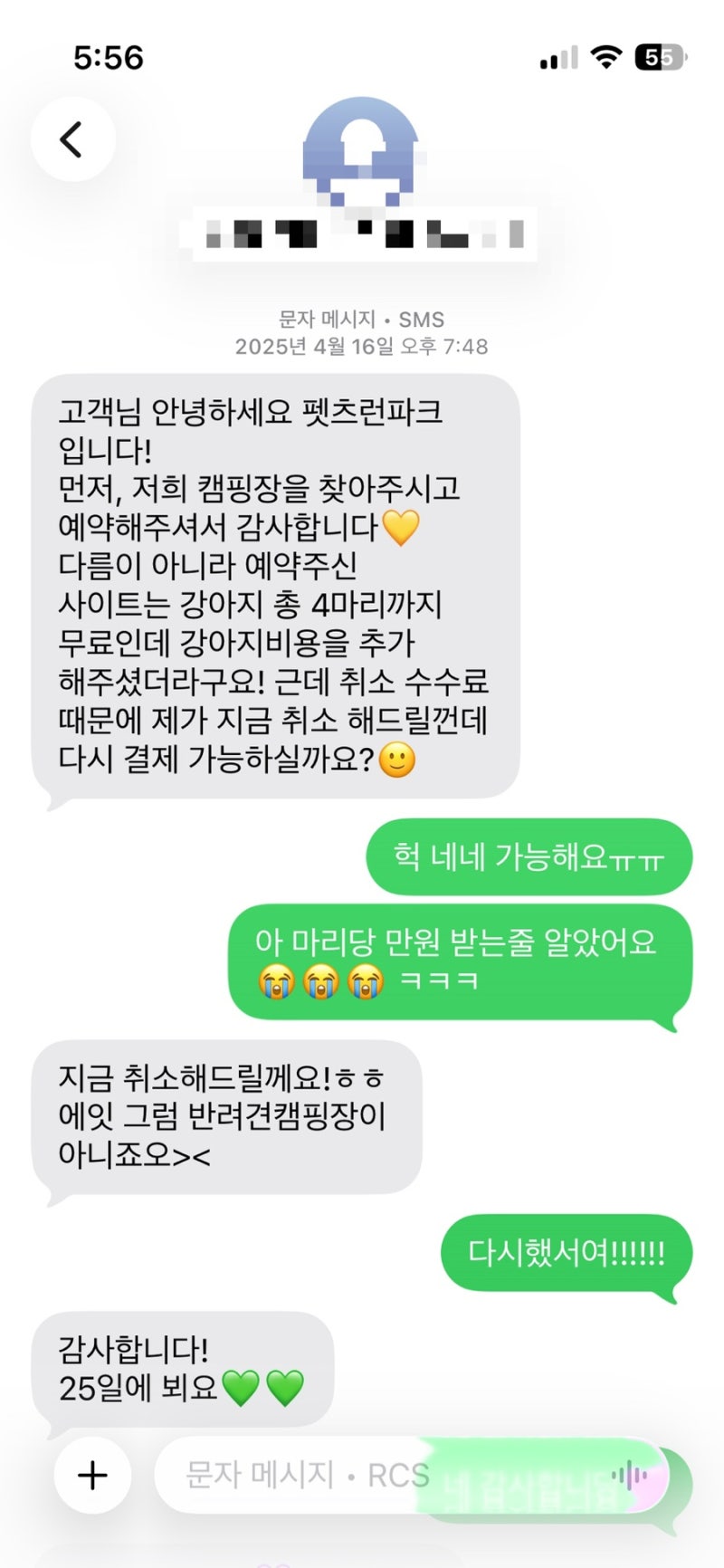 사진 6