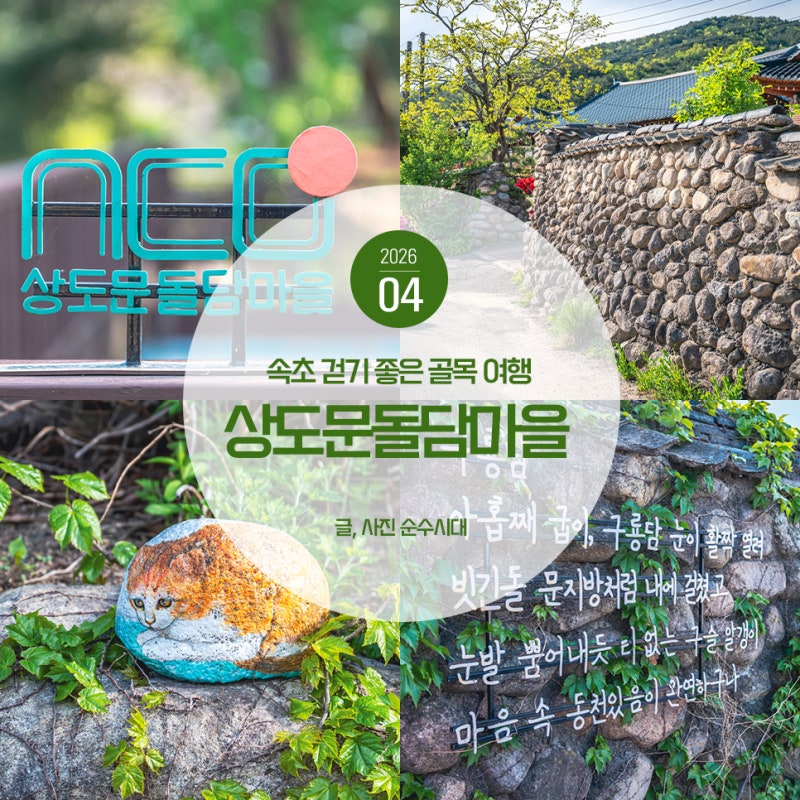 사진 5