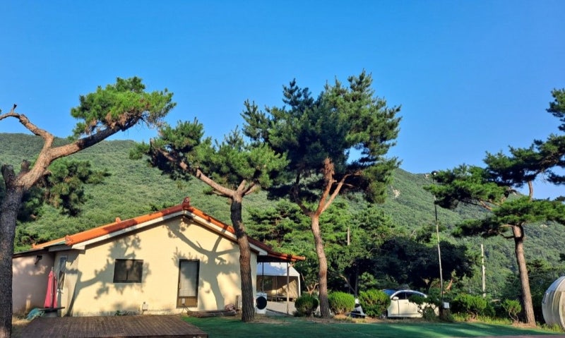 사진 3