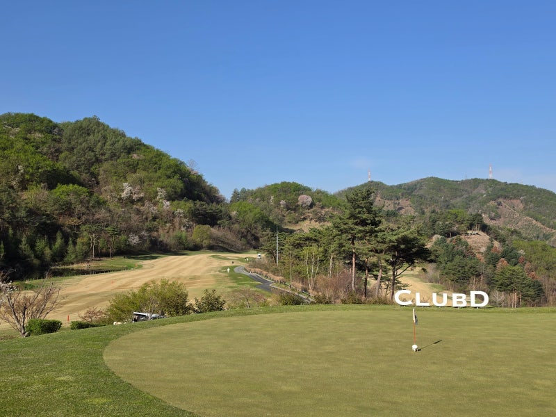 사진 7