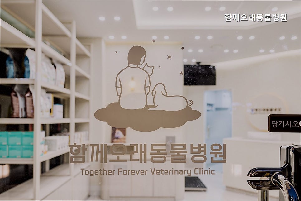 함께오래 동물병원 사진 2