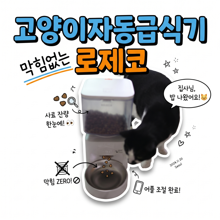  고양이 자동급식기 로제코 4.5리터 앱연동 솔직 후기 | 스텐 식기에 투명 사료통까지