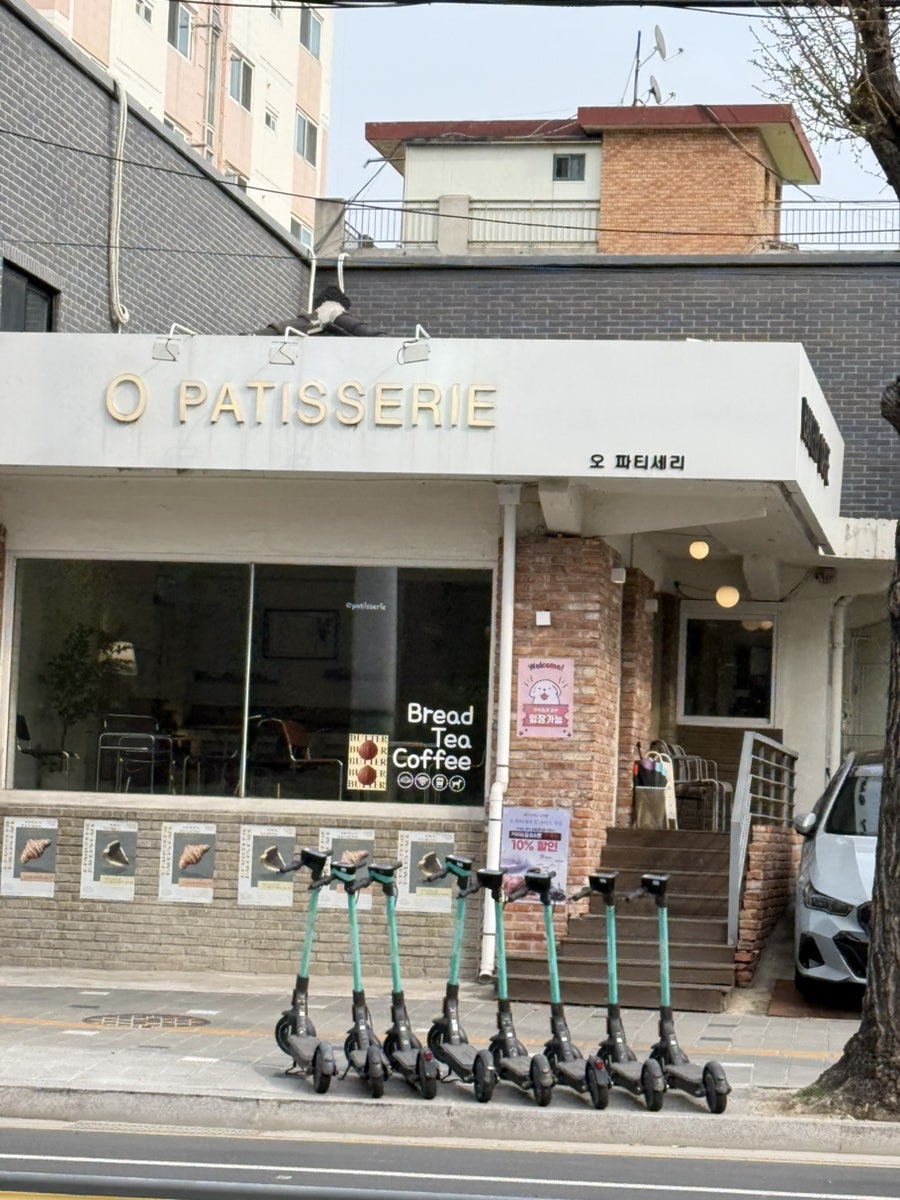 오파티세리 사진 2