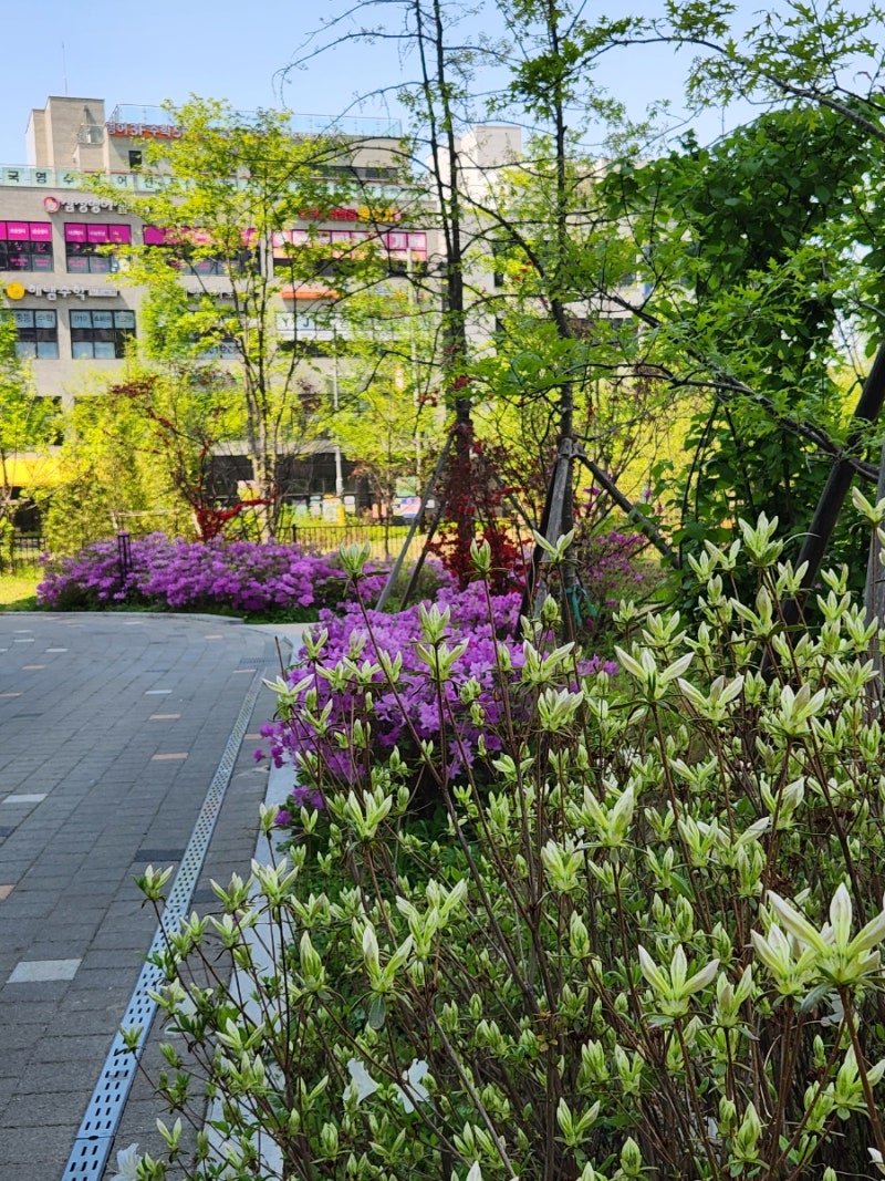 사진 3