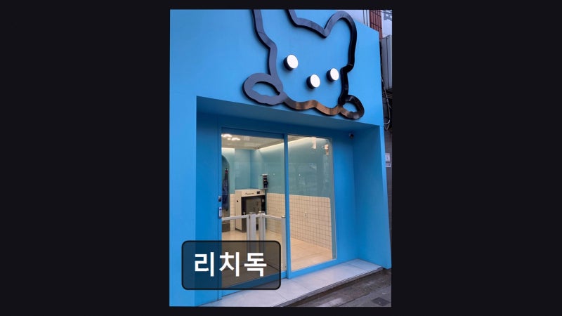 사진 6