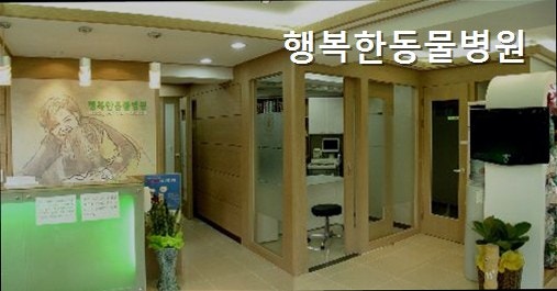 행복한동물병원 사진 2