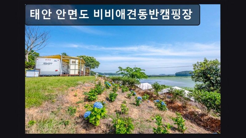 사진 2