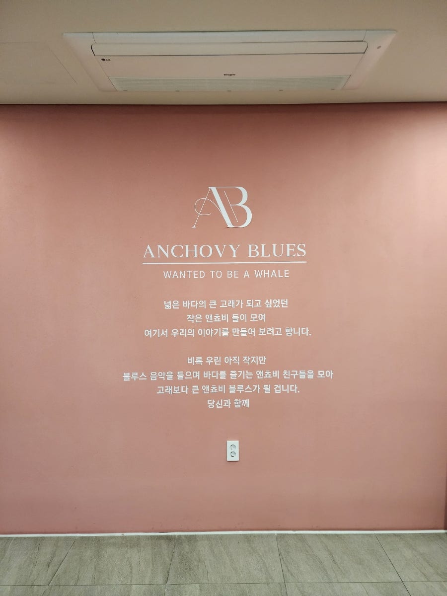 엔쵸비블루스 사진 5
