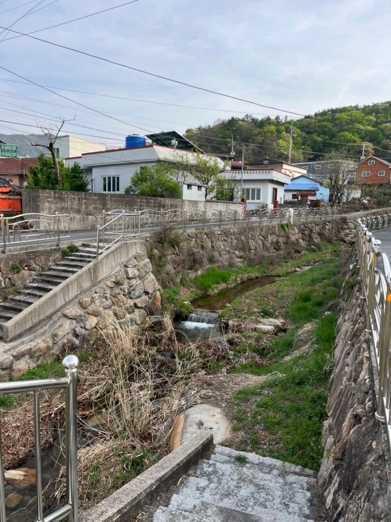 사진 2