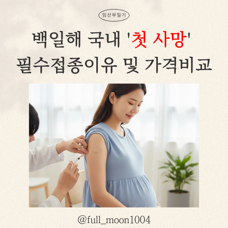 백일해 예방접종 가격부터 시기까지 한 번에 정리