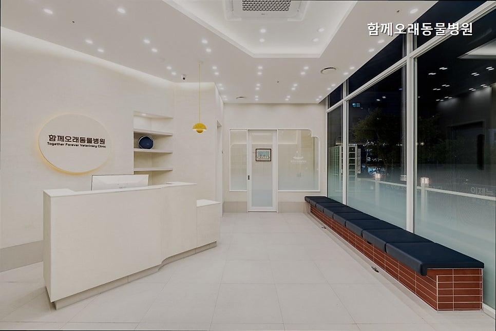 함께오래 동물병원 사진 1
