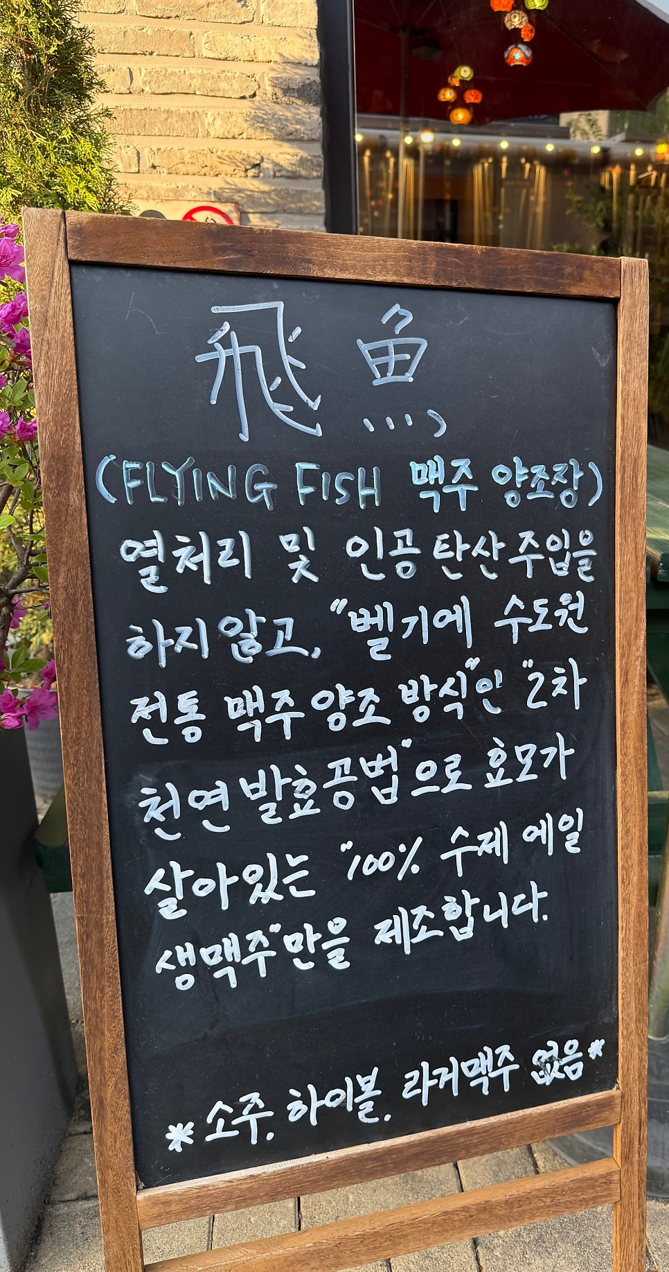 플라잉피쉬 사진 4