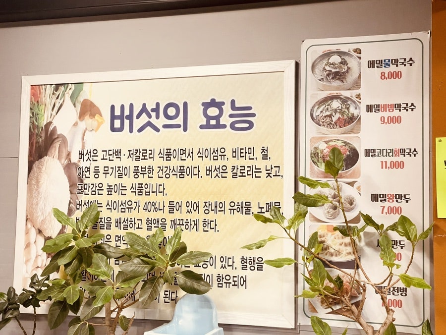 자연버섯샤브 사진 5