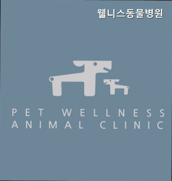 웰니스동물병원 사진 1