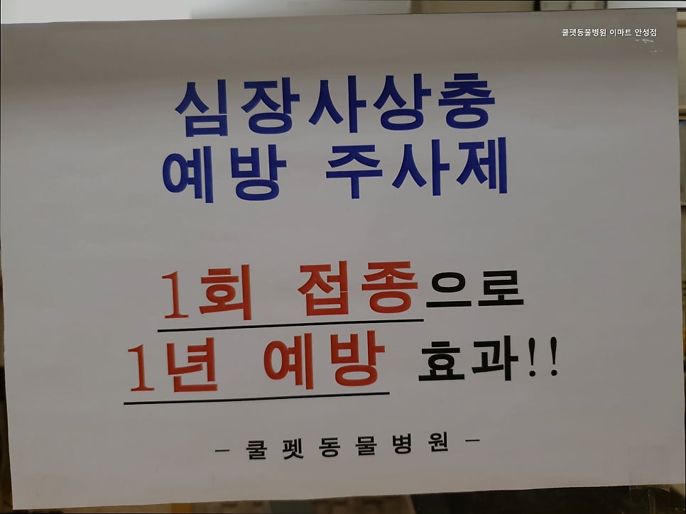 쿨펫동물병원 사진 5