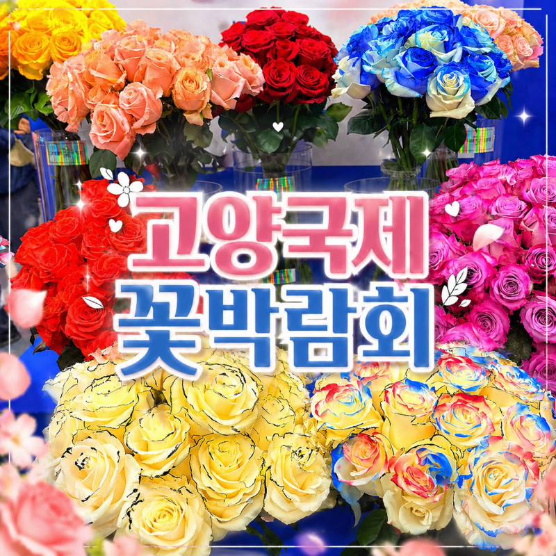 [( ´•౪•`)고양국제꽃박람회] 꽃향기 가득한 주말 나들이 / 박람회 둘러보기 (feat. 선인장 ....