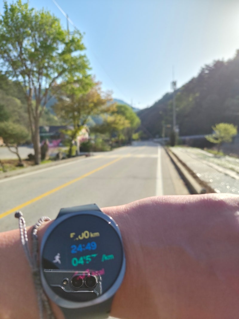 사진 5