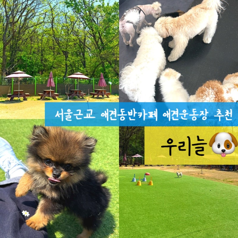 사진 5