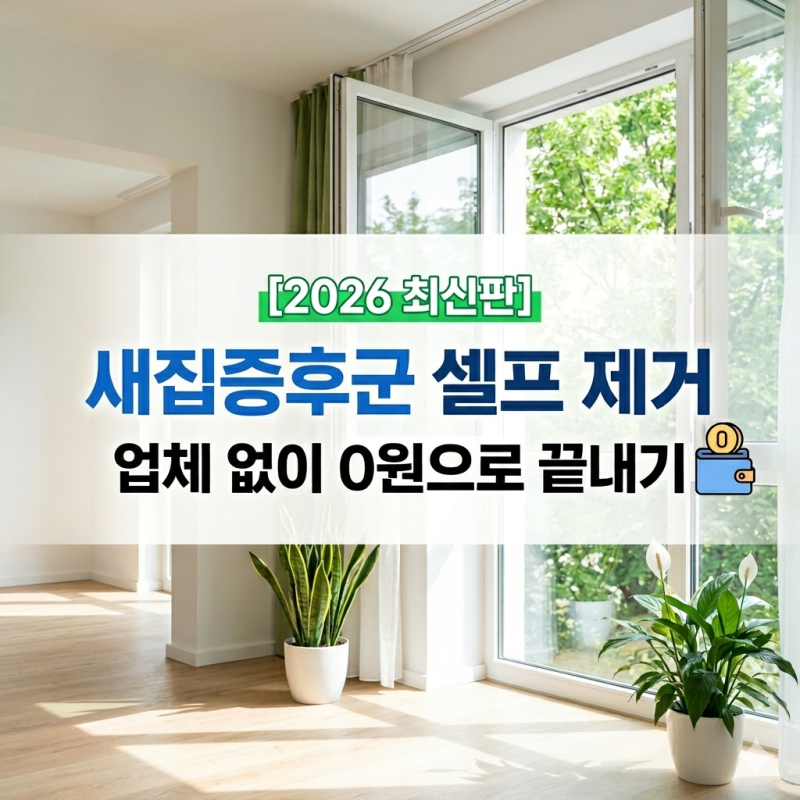 새집증후군 제거 비용 아끼는 법: 2026 셀프 베이크아웃 완벽 가이드