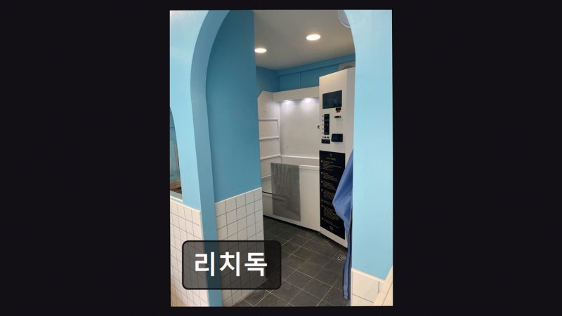 사진 5