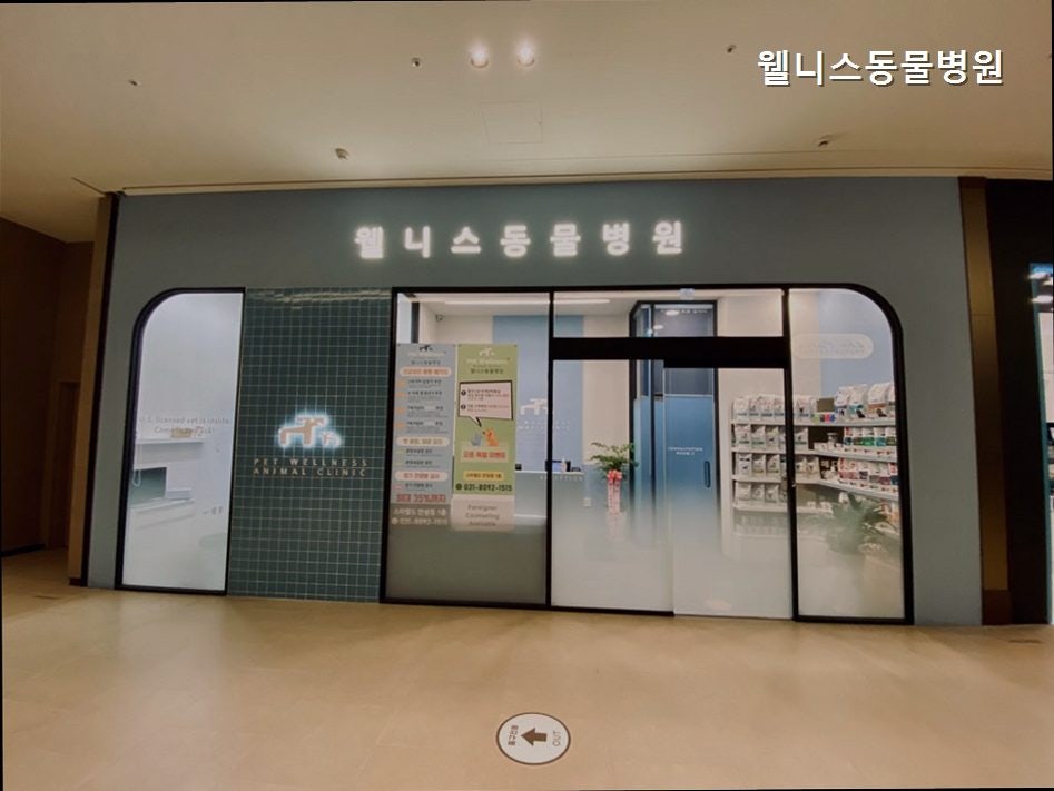 웰니스동물병원 사진 2