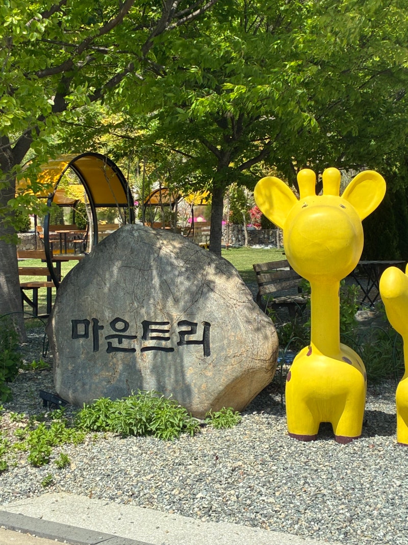 사진 2
