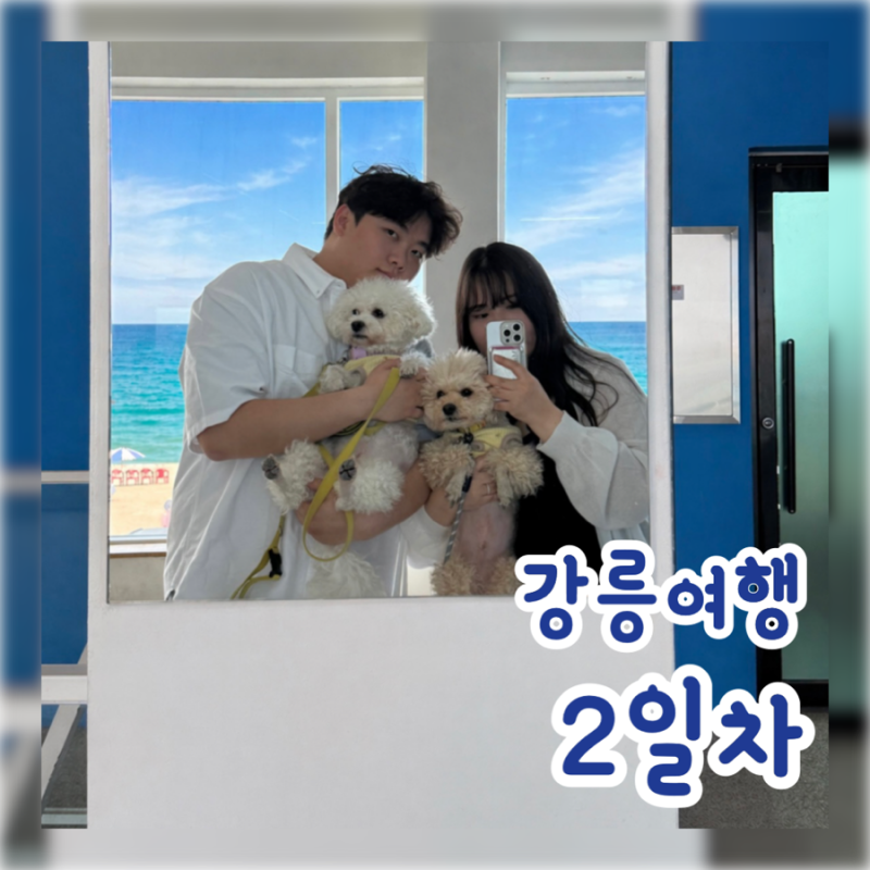초당본가짬뽕순두부