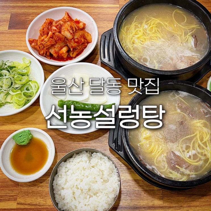  울산 삼산 점심 맛집 선농설렁탕 혼밥 한식 국밥 남구 달동 저녁 밥집 웨이팅 현지인 추천