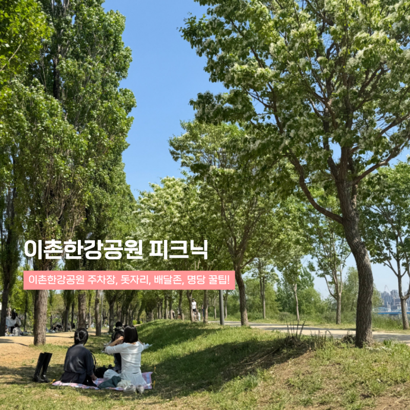 이촌한강공원 피크닉 주차장 돗자리 대여 명당 자리 꿀팁!