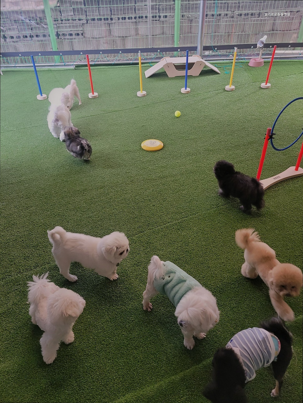 슬기로운동물병원 사진 5