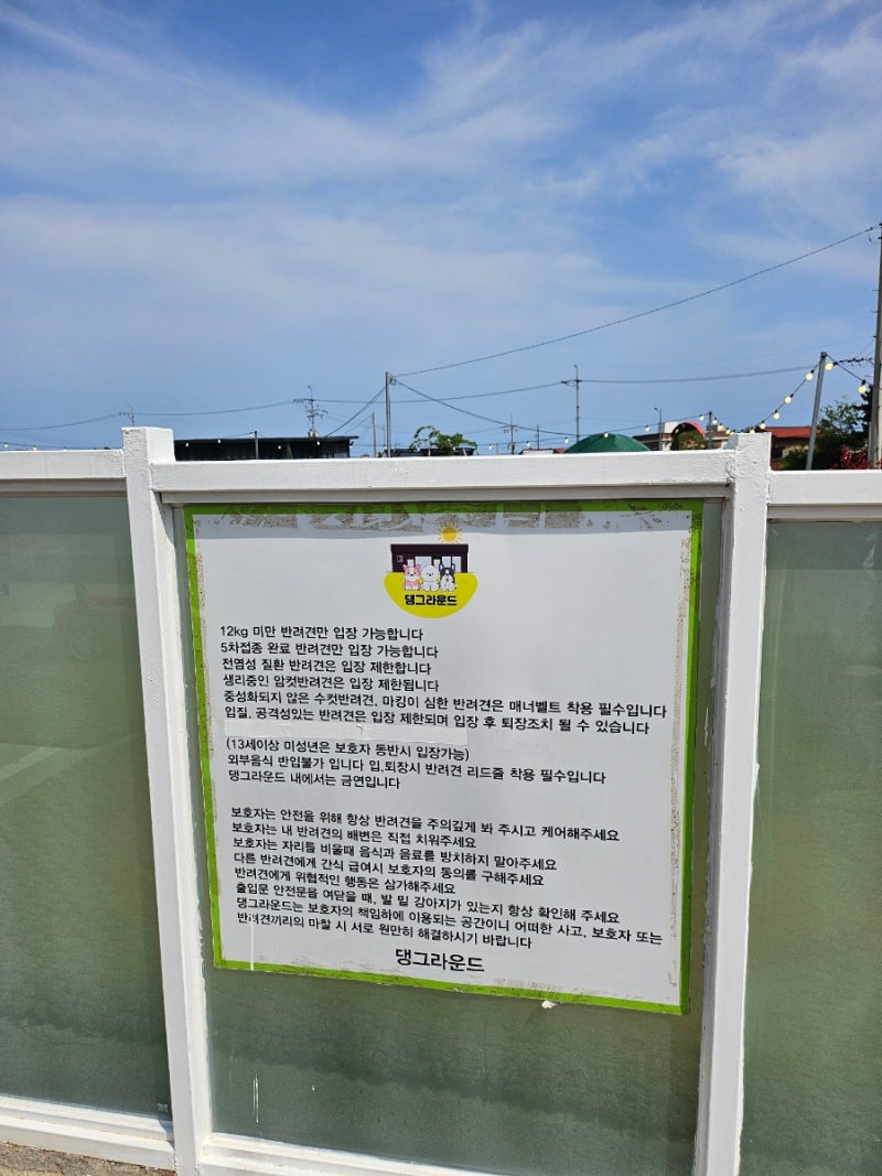 사진 9