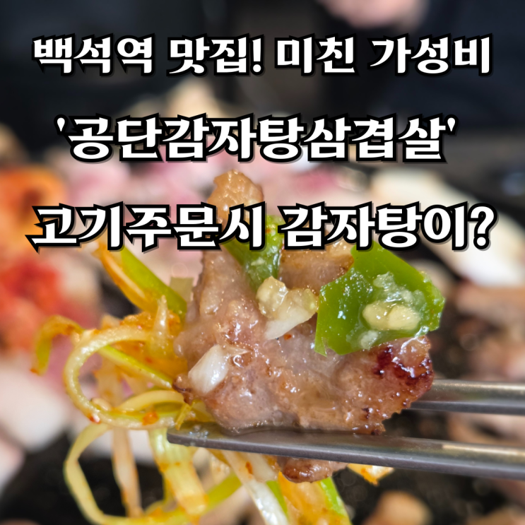  백석역 맛집 미친 가성비 고기집 '공단감자탕삼겹살' 고기주문시 감자탕이 딸려온다