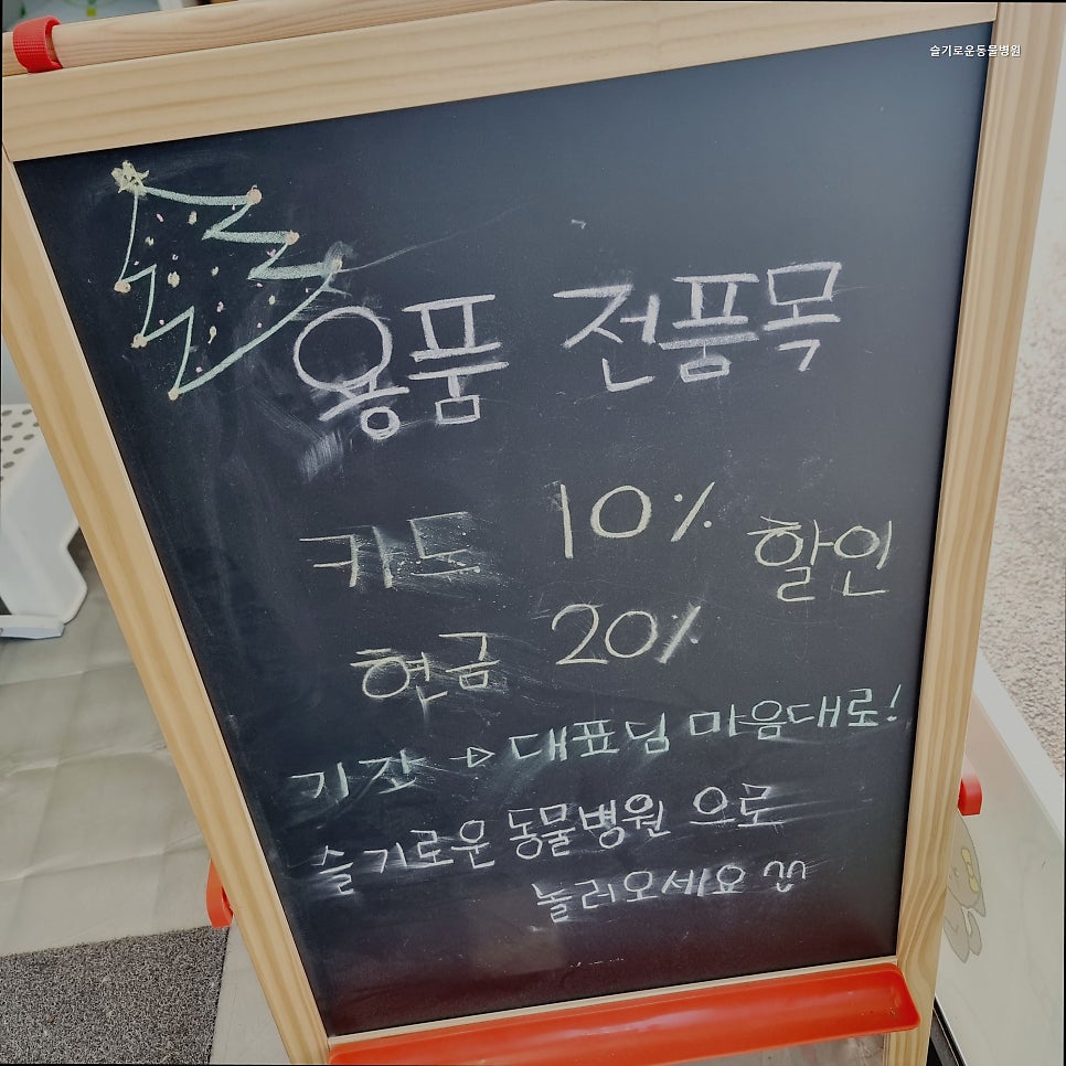 슬기로운동물병원 사진 1