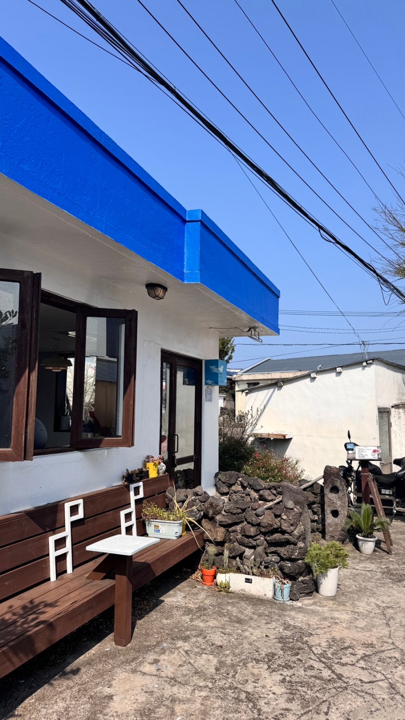 제주도 종달리 당근주스가 맛있는 바다는안보여요