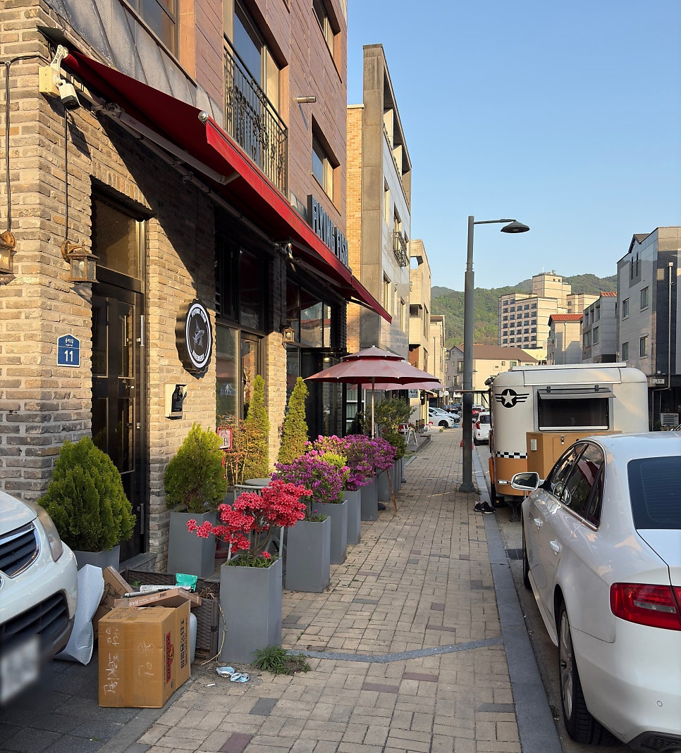 플라잉피쉬 사진 2