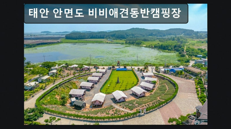 태안 안면도 비비애견동반캠핑장 — 태안군