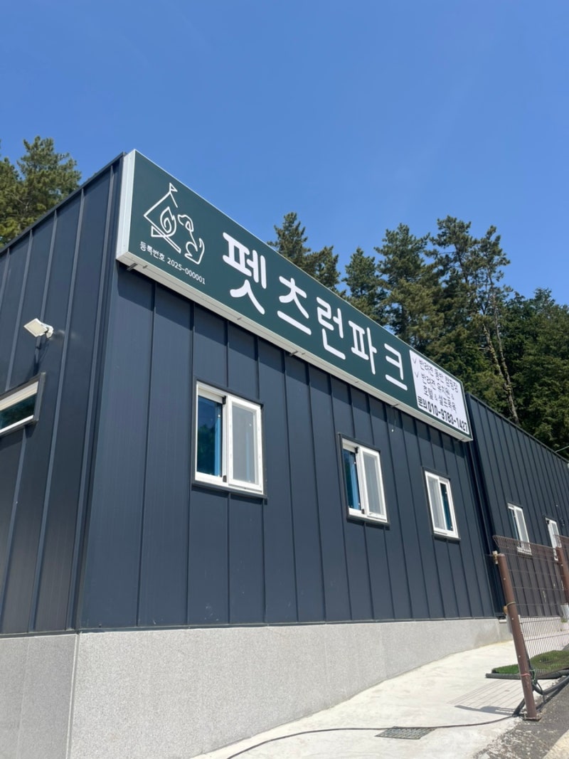 사진 7