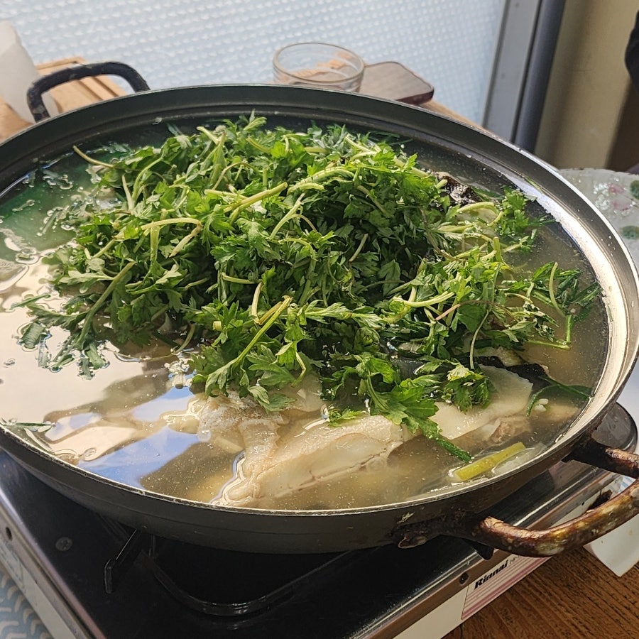 갯바위 사진 2