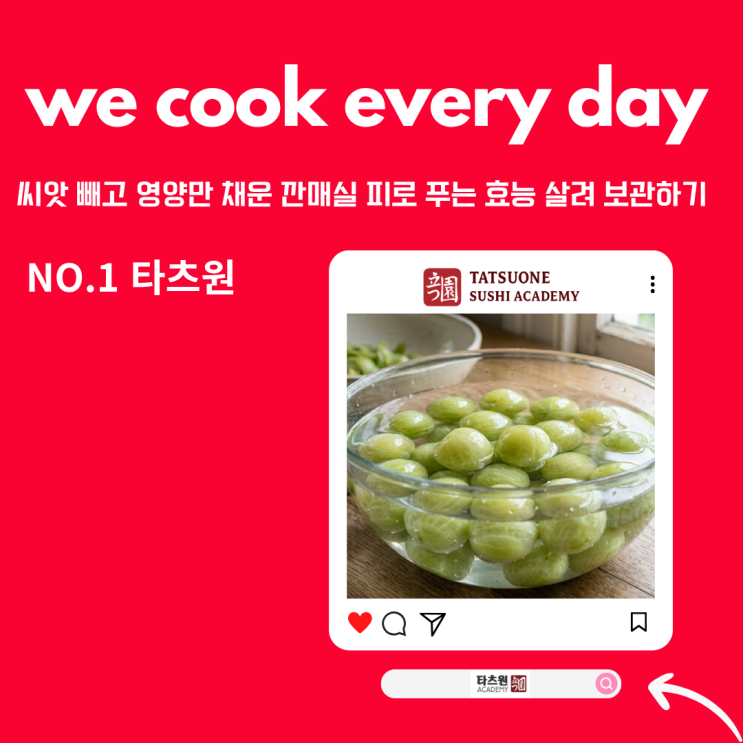  깐 매실 매실장아찌용 효능 독성없이 안전함을 지키는 방법