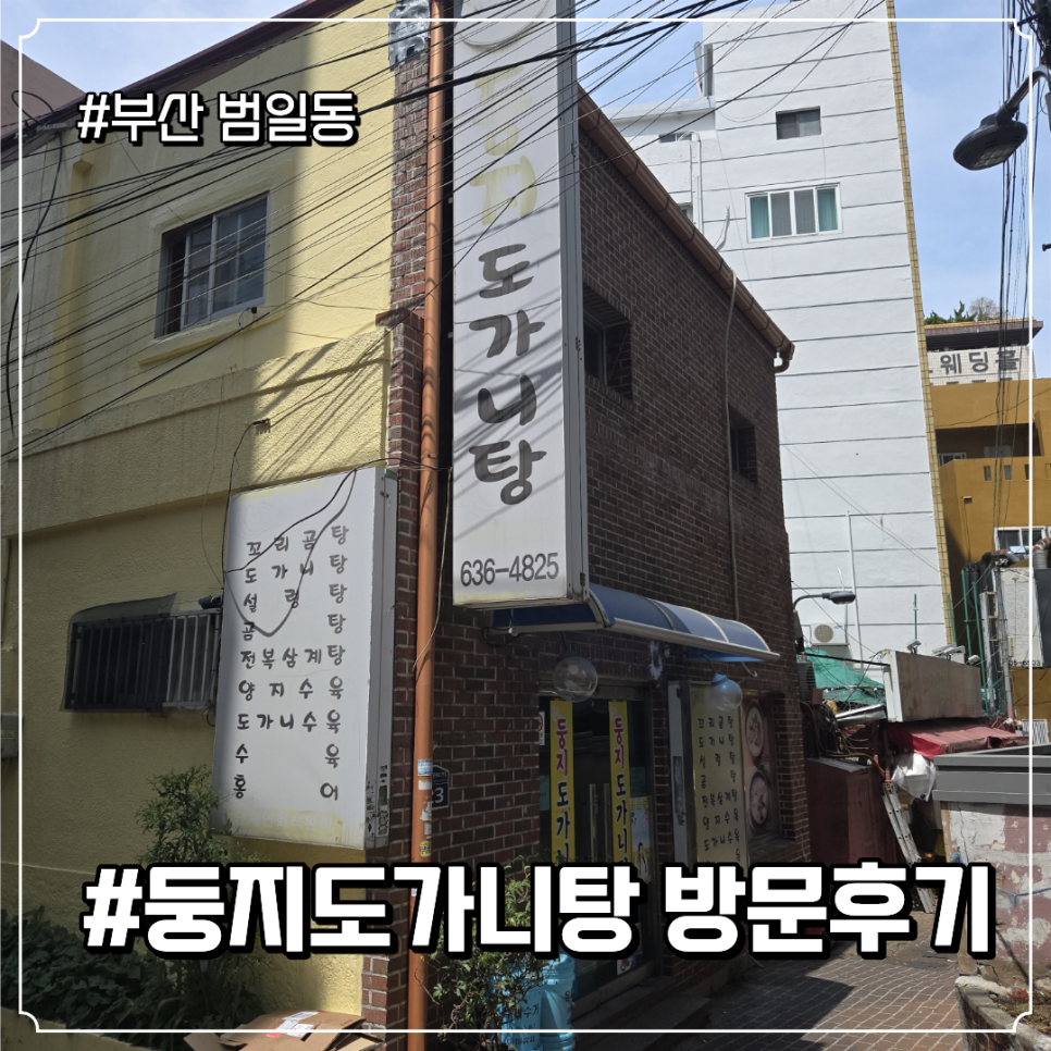 둥지도가니탕 사진 1