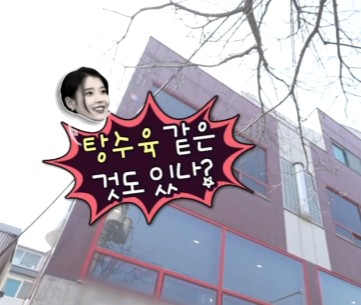 유수빈 중국집 아이유·이연도 반한 부추복어살 맛집 왜 화제일까