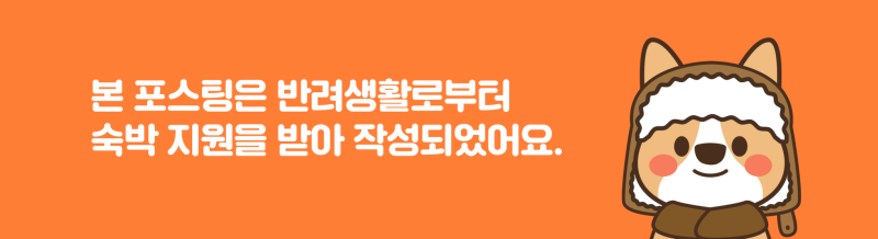 음악의 숲