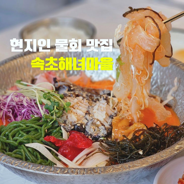  속초 물회 찐맛집 애견동반식당 속초 바람꽃 해녀마을 아침식사