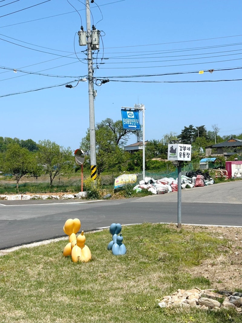 사진 2