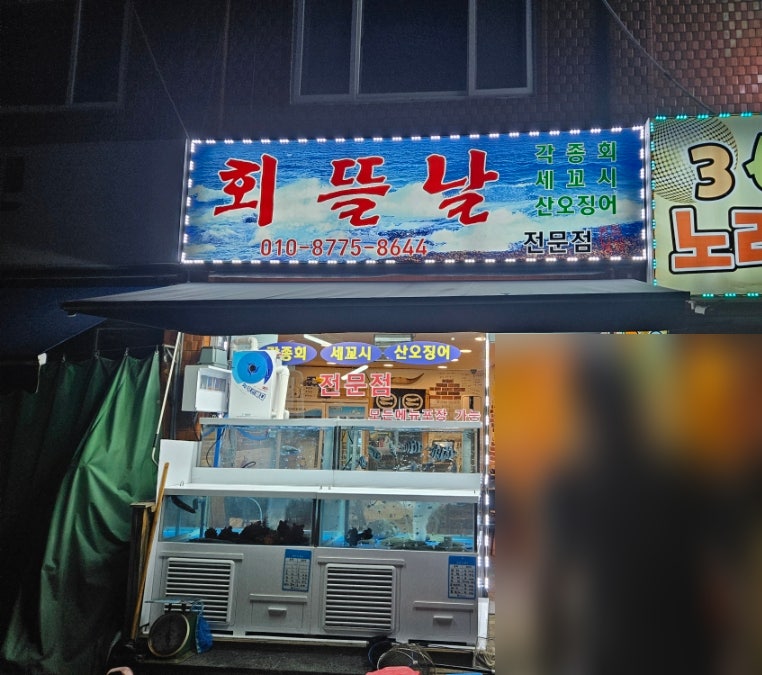 회뜰날 사진 1