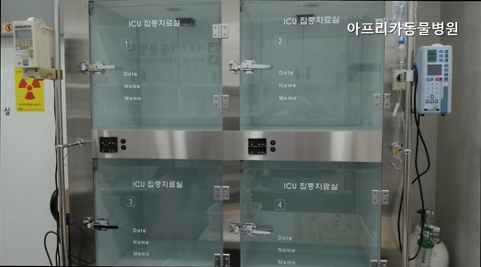 아프리카동물병원 사진 1