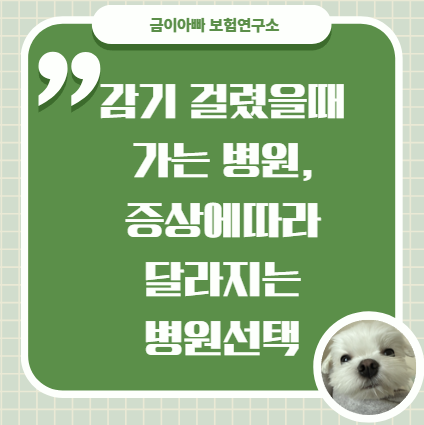 감기걸렸을때 무슨병원 가야할까? 이비인후과, 내과 증상에 따라 알아보기